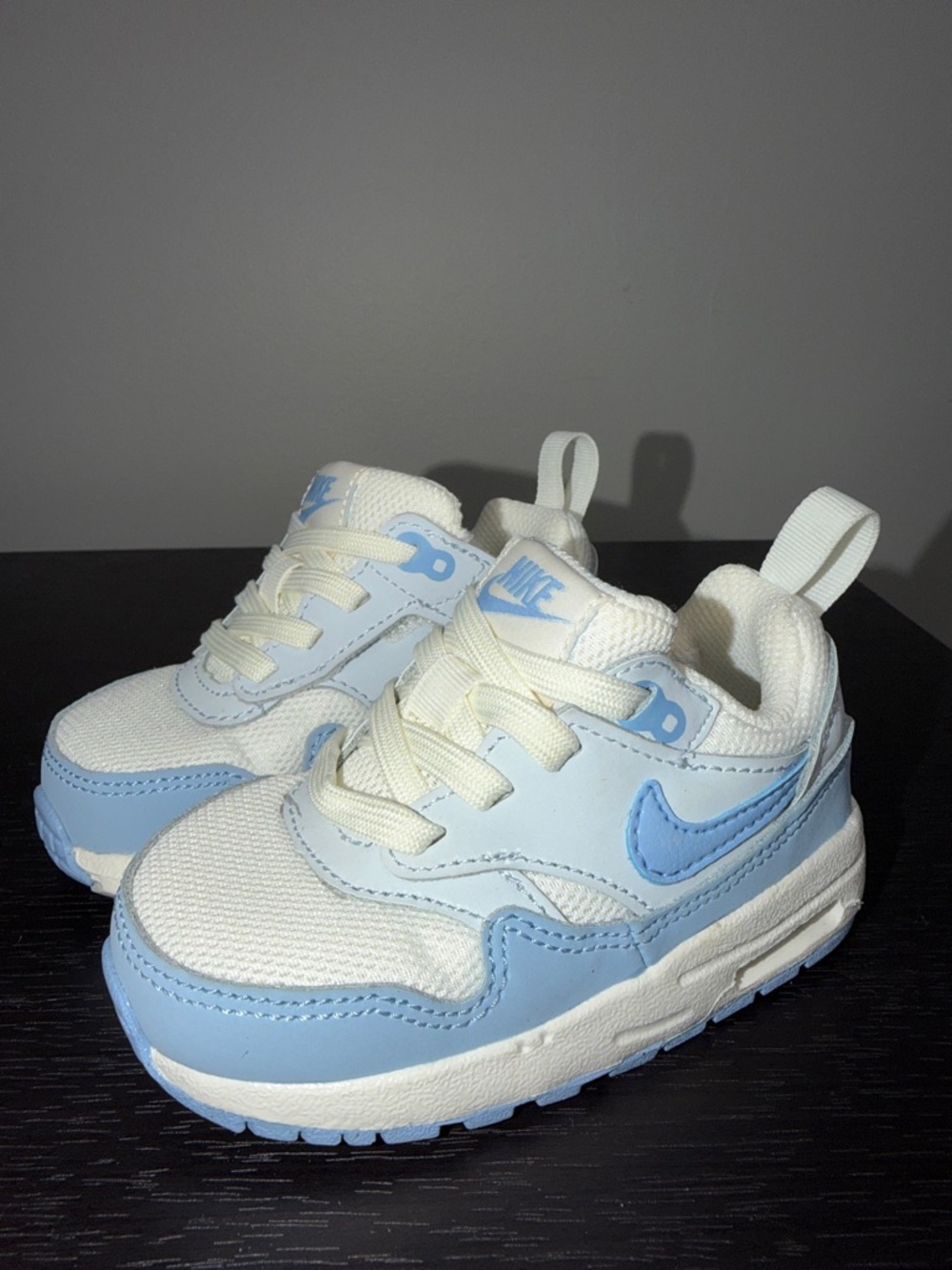 Nike Air Max 1 EasyOn